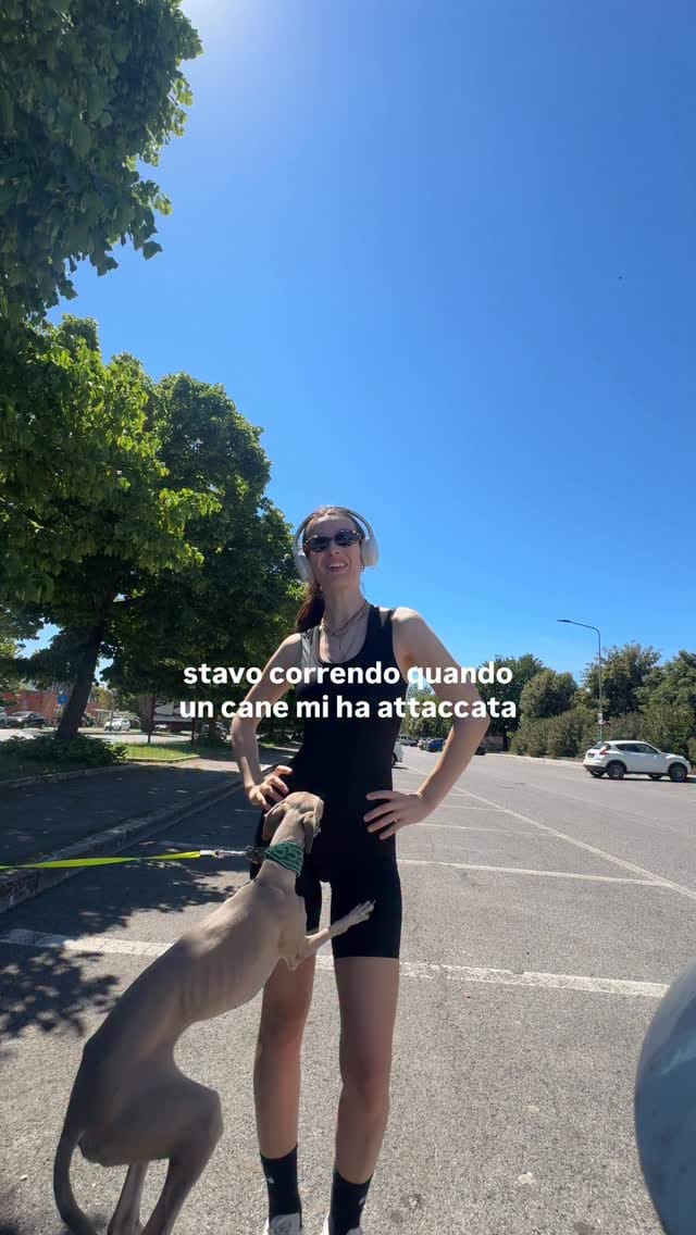 Post 3 by Camillo Il Weimaraner on Instagram (video)