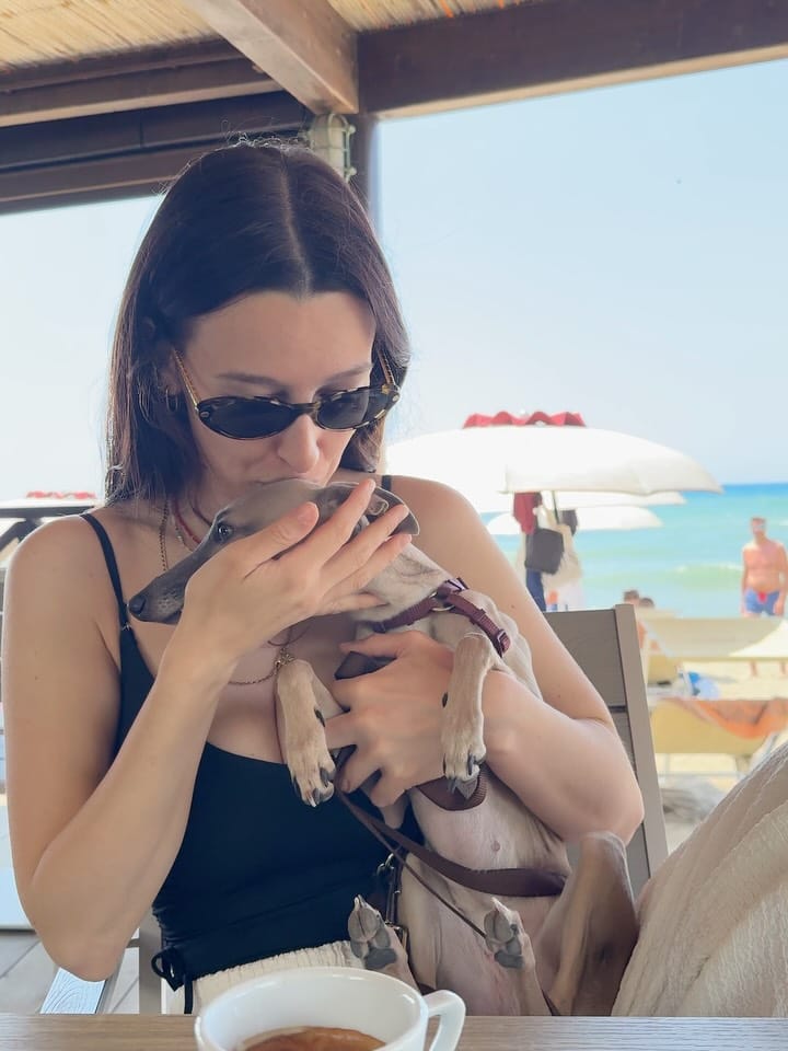Post 2 by Camillo Il Weimaraner on Instagram (carousel)