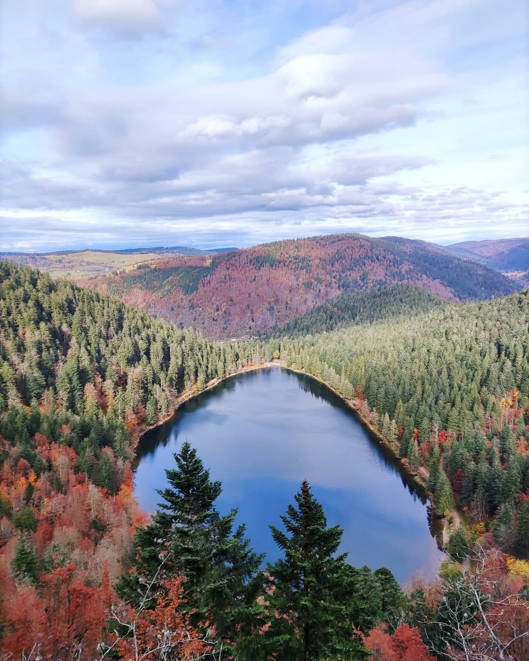 Post 10 by Au fil de nos découvertes. 🌺🌲🌳 on Instagram (carousel)
