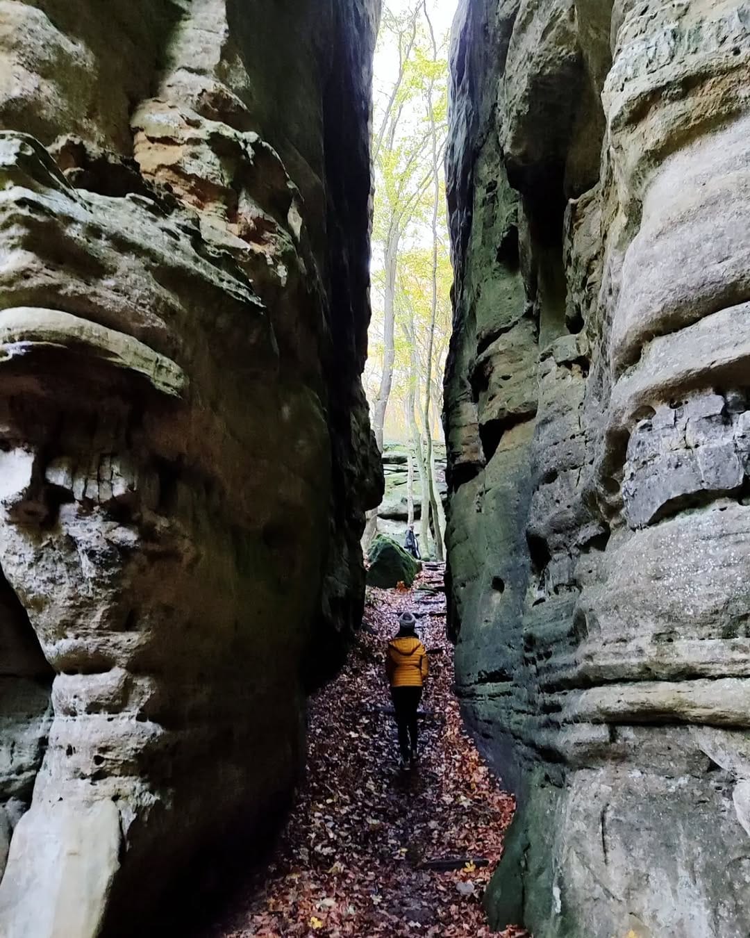Post 9 by Au fil de nos découvertes. 🌺🌲🌳 on Instagram (carousel)