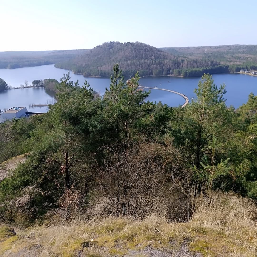 Post 1 by Au fil de nos découvertes. 🌺🌲🌳 on Instagram (carousel)