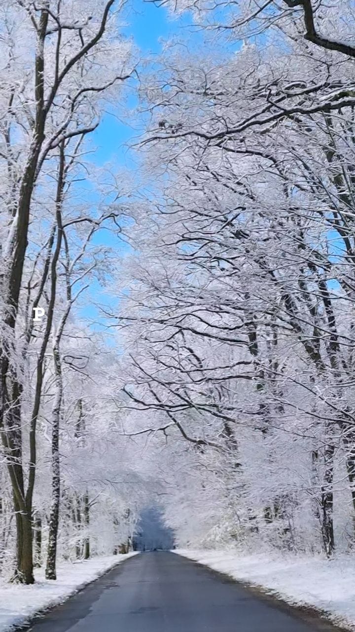 Post 2 by Marta ✧ Gabriele ✧ Travel 📸 on Instagram (video)