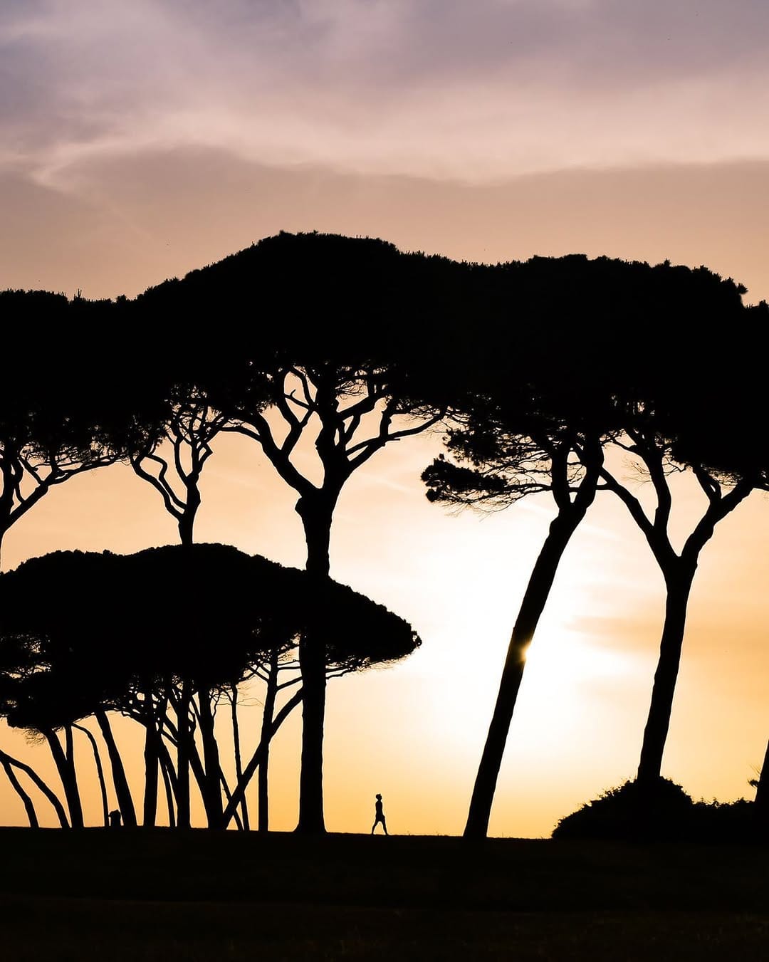Post 3 by Riccardo Melca on Instagram (image)