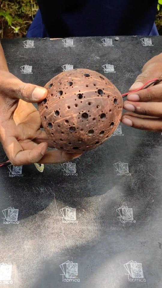Post 10 by coconut shell craft on Instagram (video)