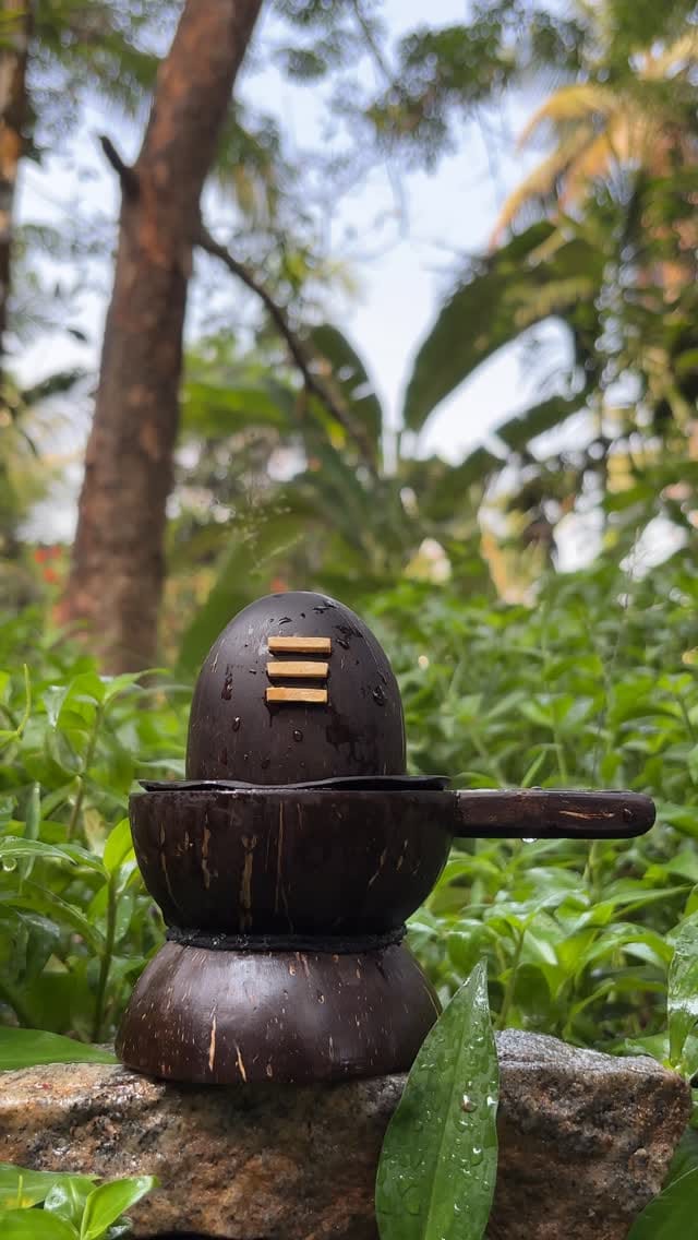Post 4 by coconut shell craft on Instagram (video)