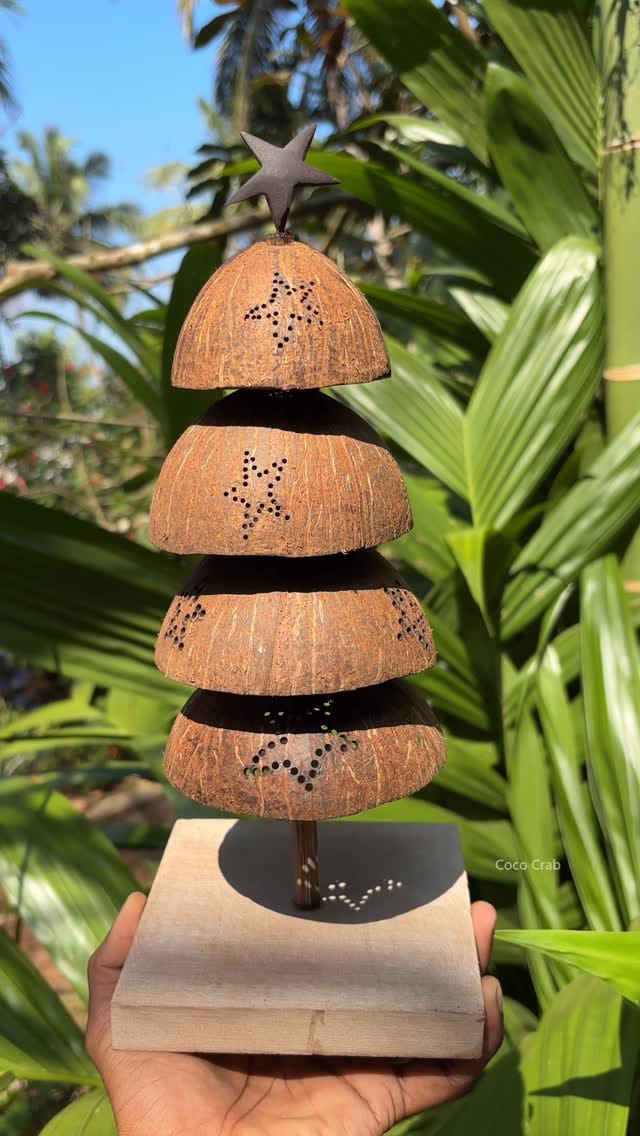Post 7 by coconut shell craft on Instagram (video)