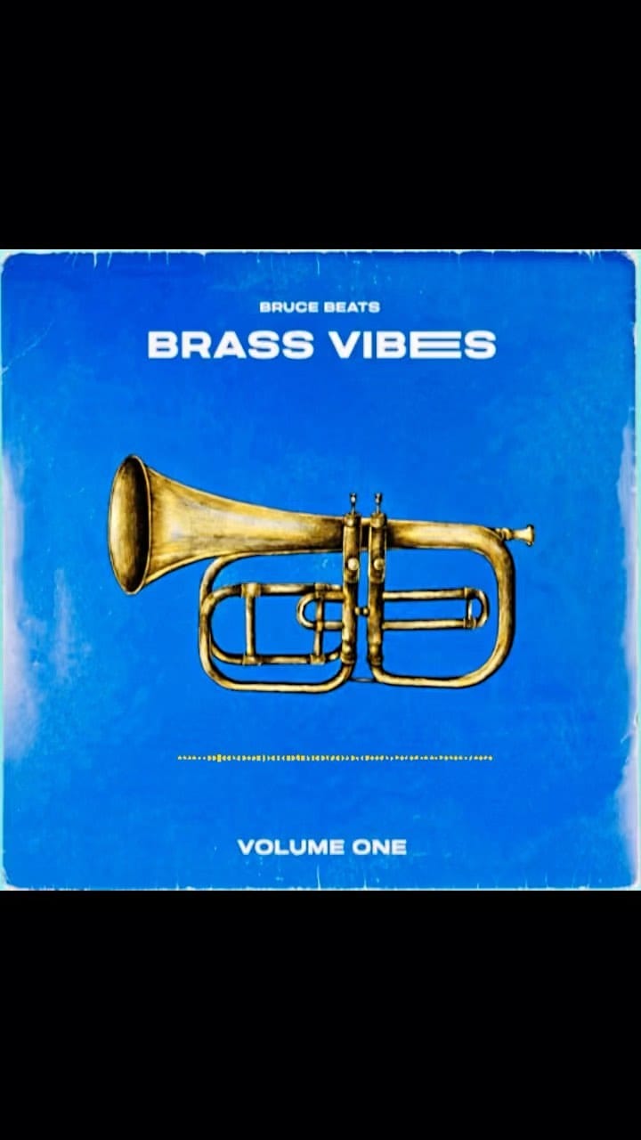 Post 9 by BruceBeats on Instagram (video)