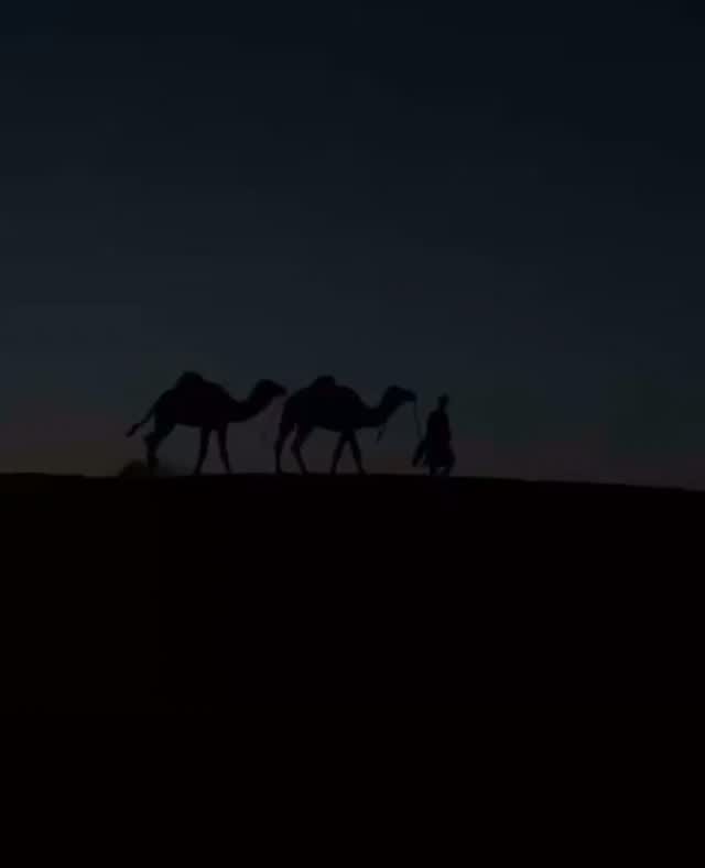 Post 5 by شیخ محمدصالح پردل حفظه الله on Instagram (video)
