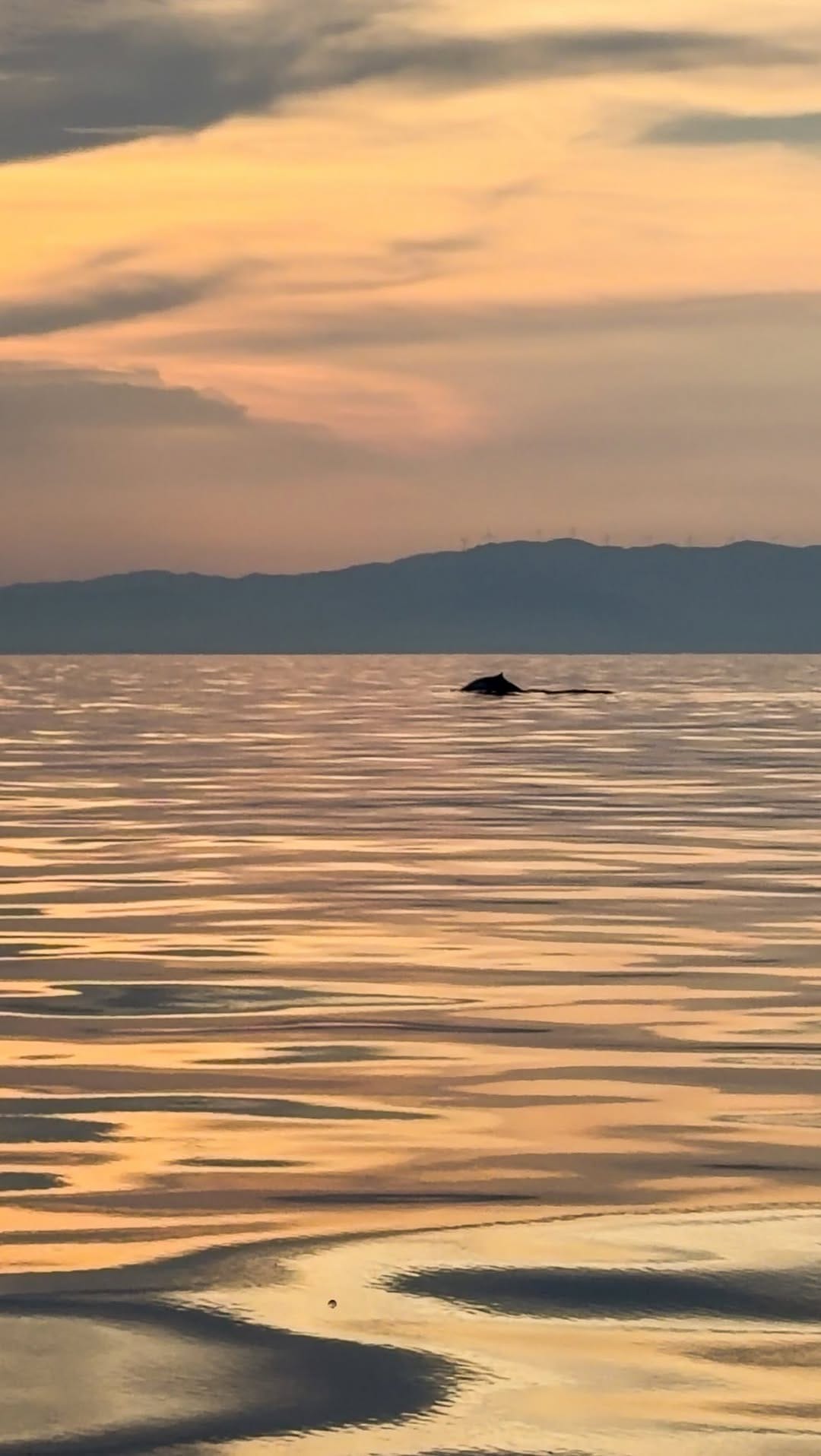 Post 4 by Fabio Accorrà on Instagram (video)