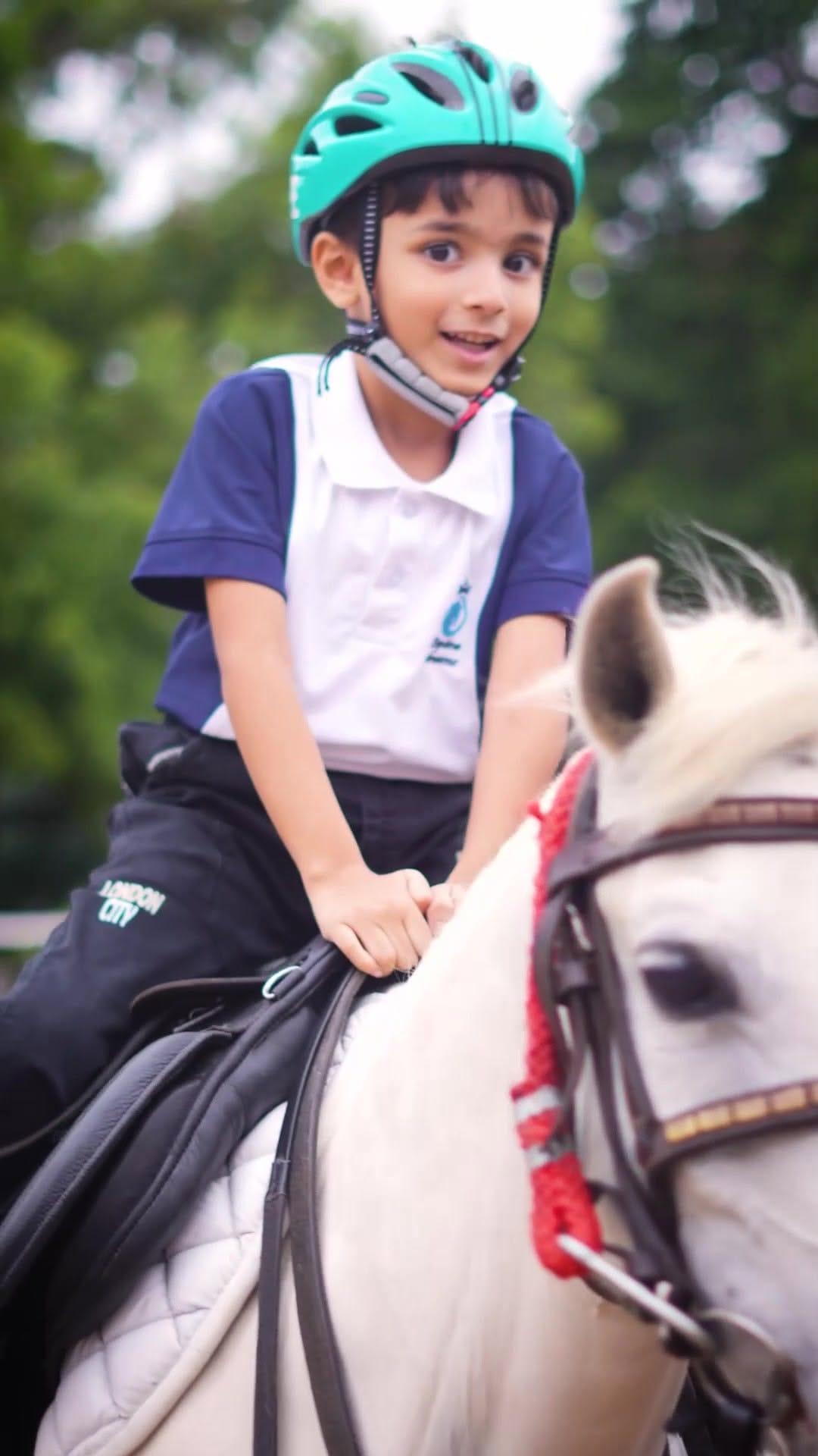 Post 8 by Equine Dreams | Horse riding school on Instagram (video)