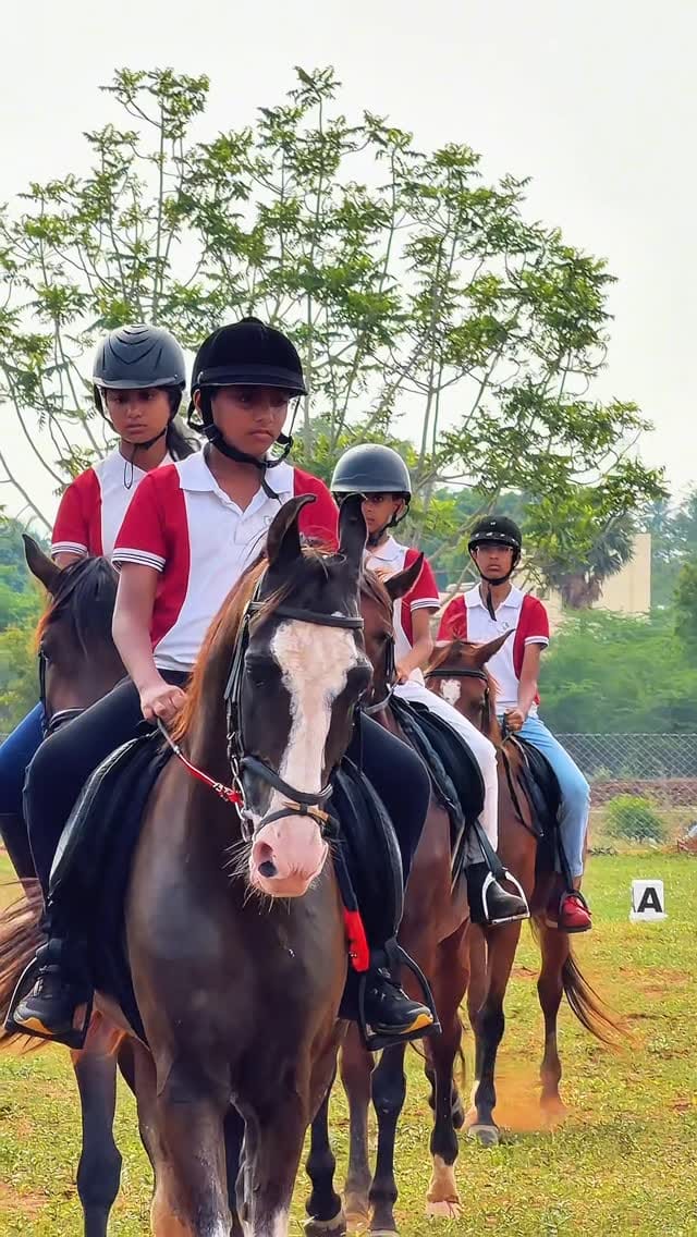 Post 4 by Equine Dreams | Horse riding school on Instagram (video)
