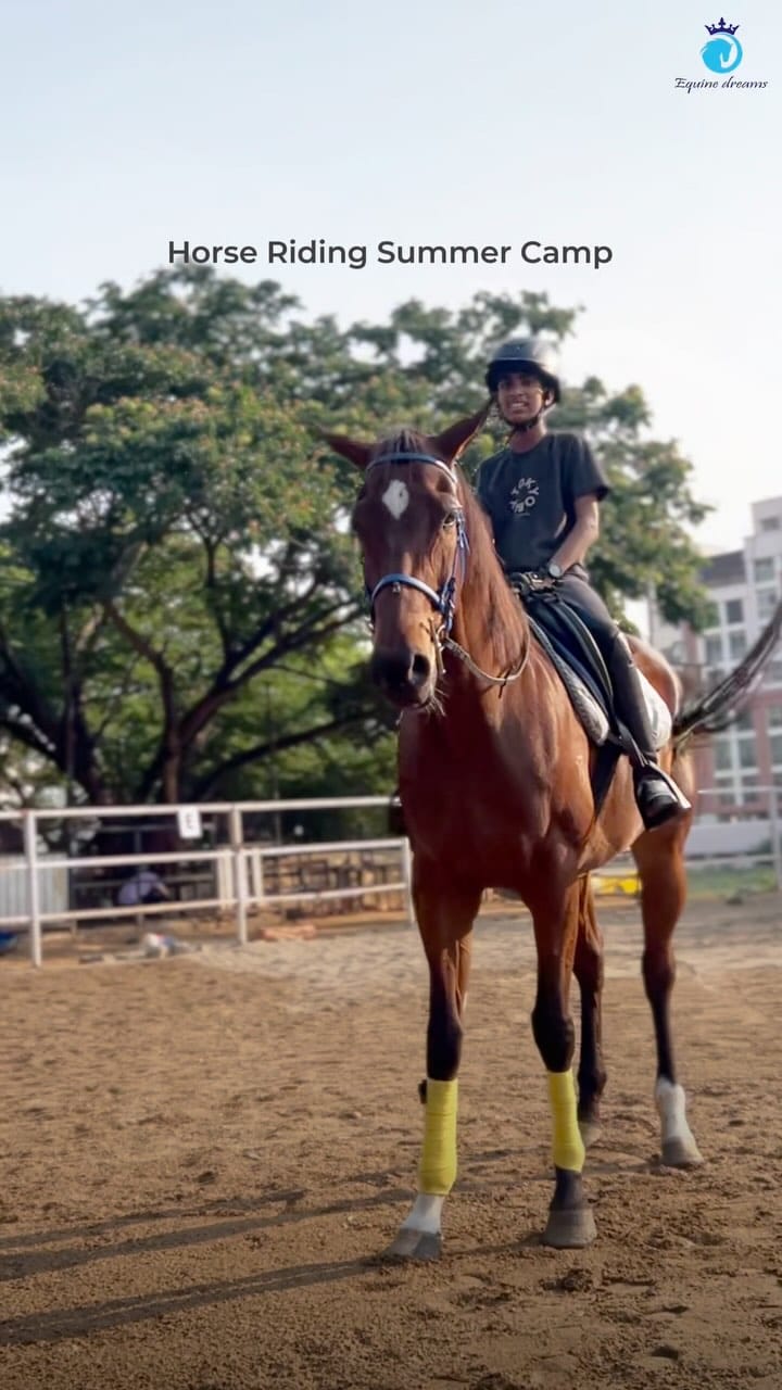 Post 10 by Equine Dreams | Horse riding school on Instagram (video)