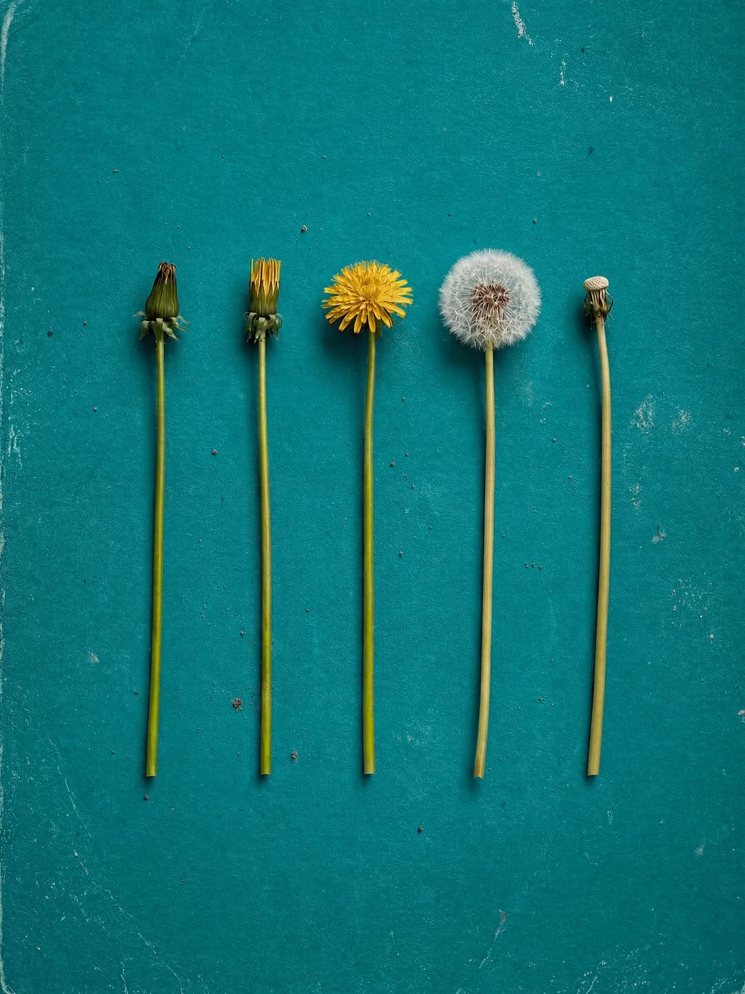 Post 9 by Benedetto Demaio on Instagram (image)