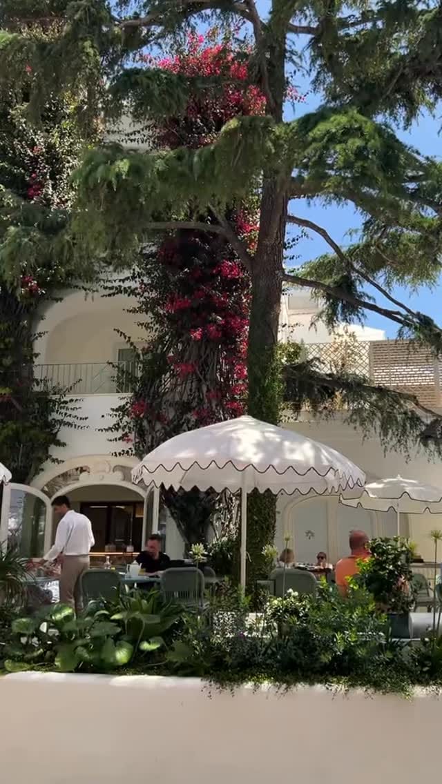 Post 8 by Bellvion on Instagram (video)