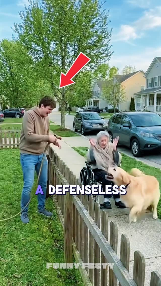 Post 4 by Funny Festy on Instagram (video)