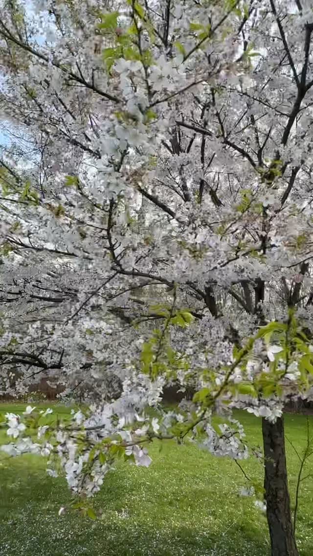Post 8 by Travel Photography on Instagram (video)