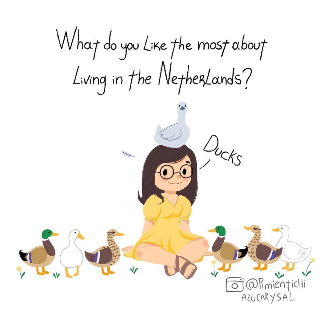 Post 8 by Lorena Carolina Plaz Ortiz on Instagram (carousel)