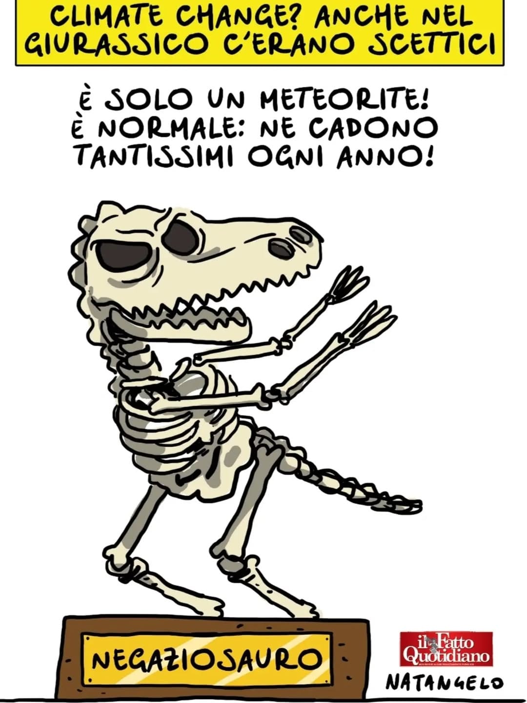 Post 7 by Mario Natangelo on Instagram (image)