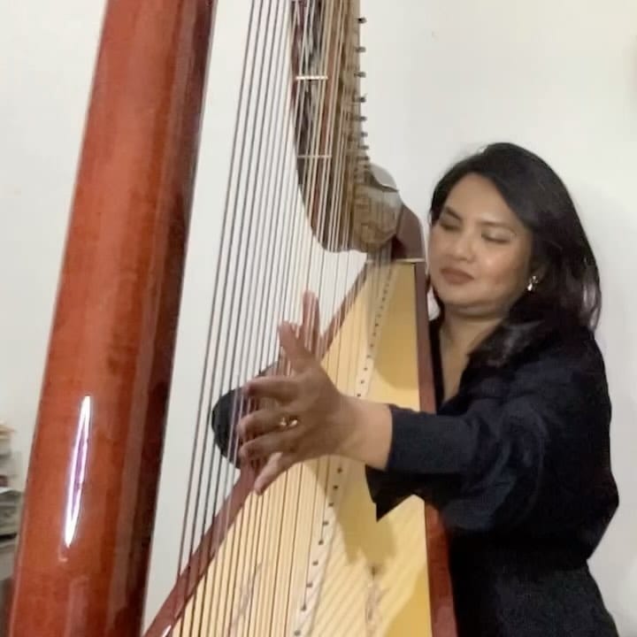 Post 1 by Lisa Gracia 🇮🇩 on Instagram (video)