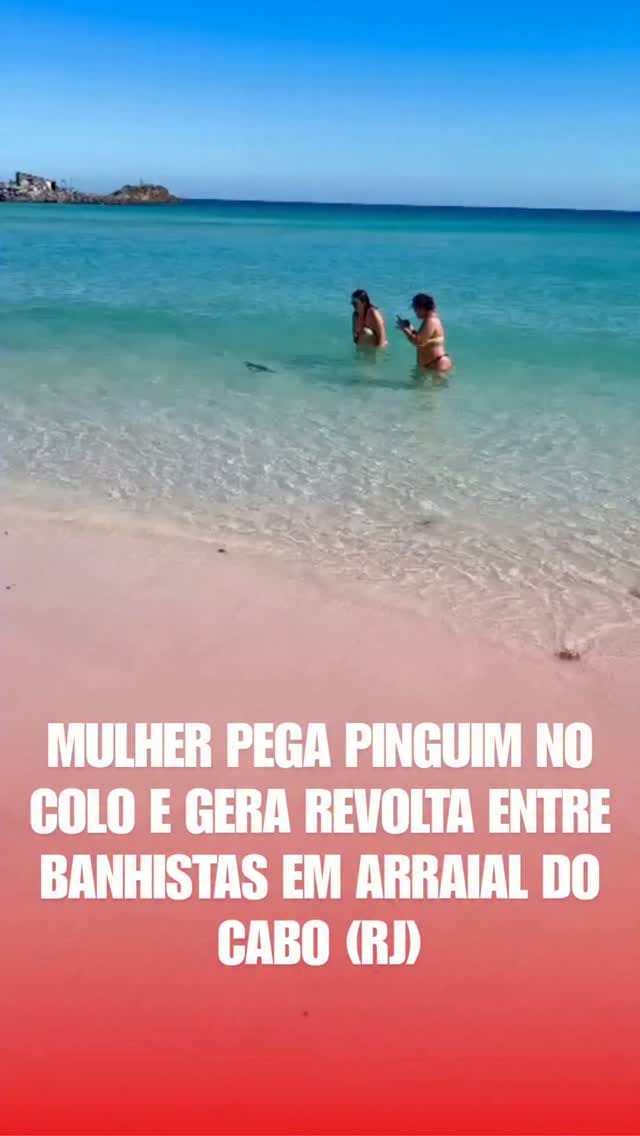 Post 7 by Bangu ao vivo on Instagram (video)