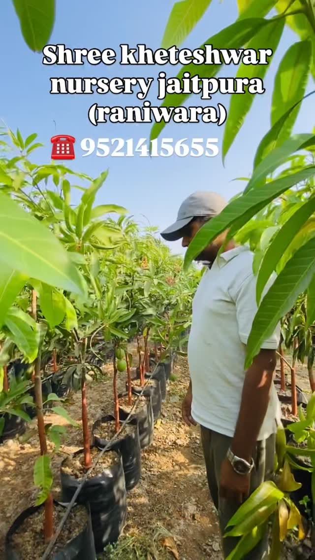 Post 5 by Suresh Rajpurohit on Instagram (video)