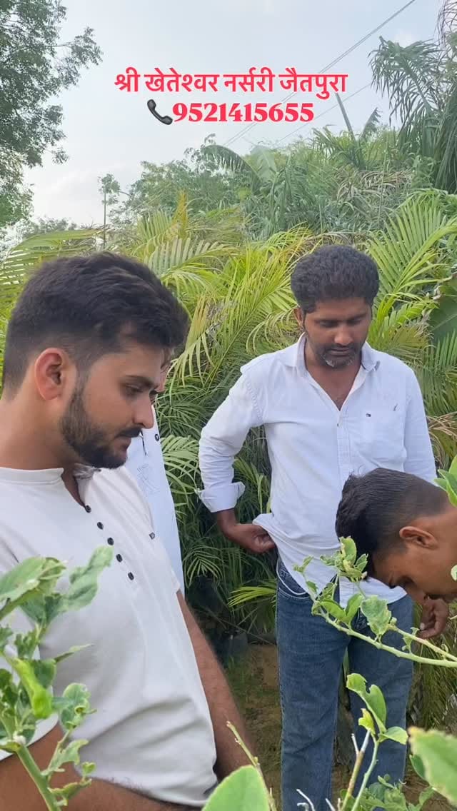 Post 7 by Suresh Rajpurohit on Instagram (video)