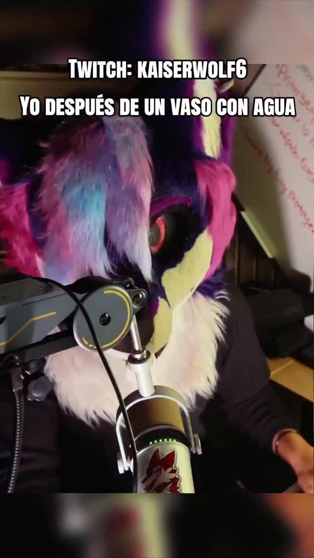 Post 4 by KaiiserWolfVT on Instagram (video)