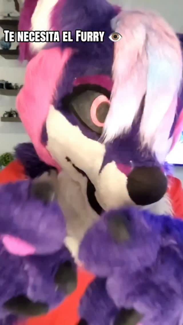 Post 9 by KaiiserWolfVT on Instagram (video)