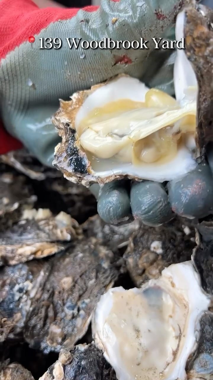 Post 1 by Chinese LAUNDRY on Instagram (video)