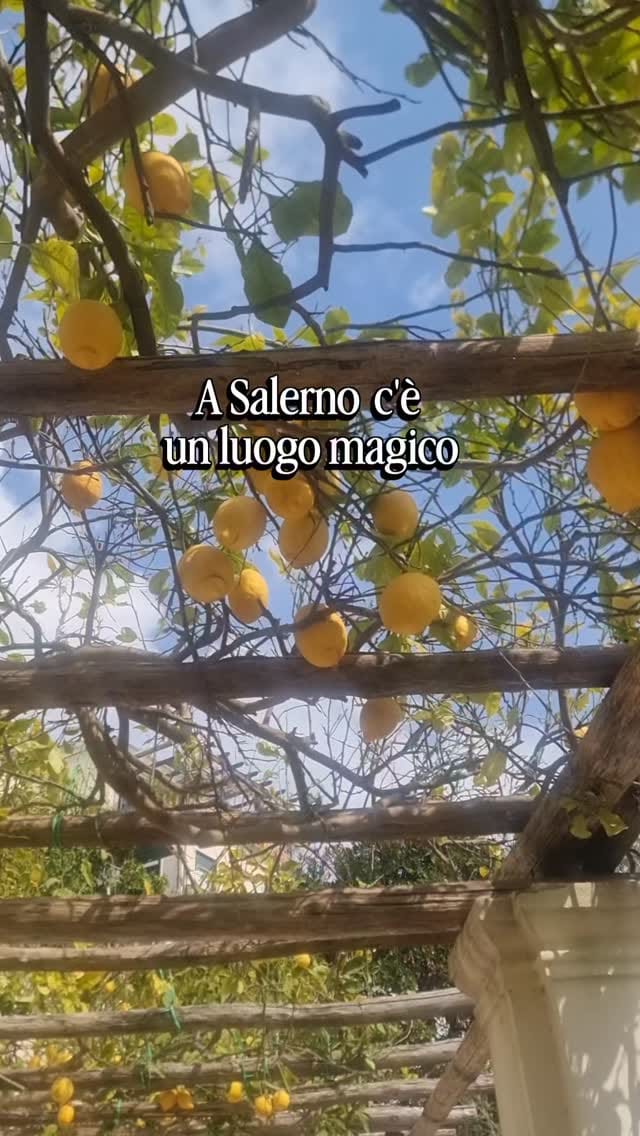 Post 10 by Morena Life in Salerno on Instagram (video)