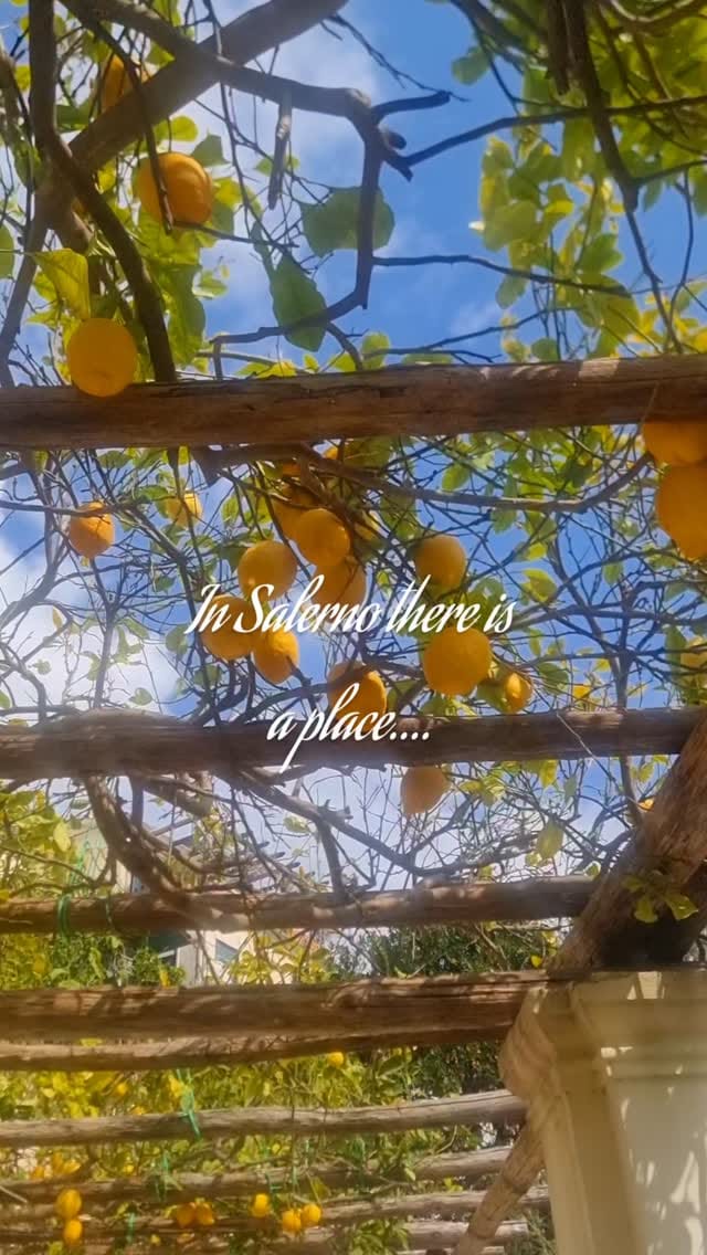 Post 4 by Morena Life in Salerno on Instagram (video)