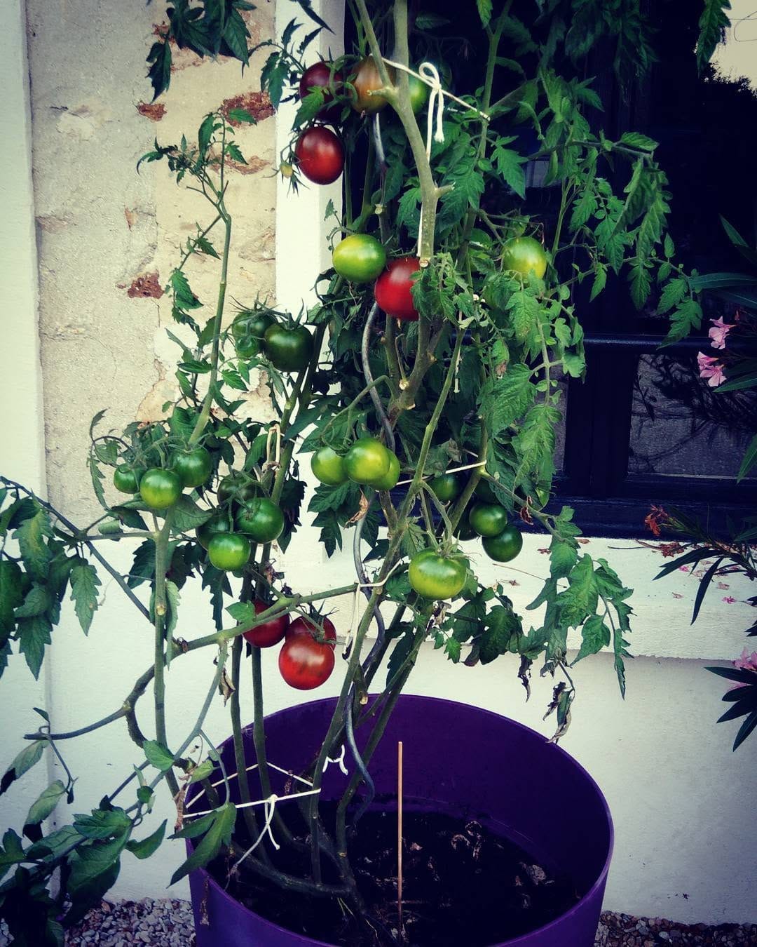 Post 8 by Céline  cohen on Instagram (image)