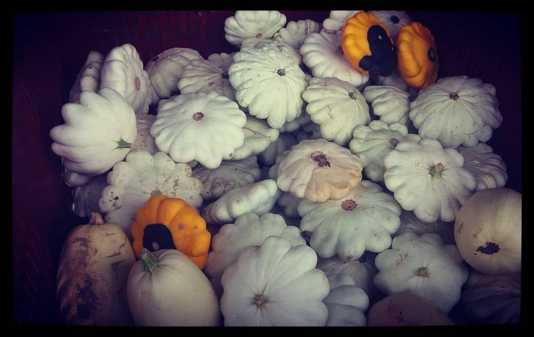 Post 10 by Céline  cohen on Instagram (image)