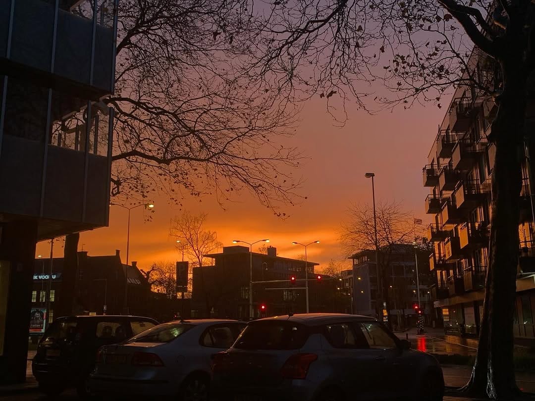 Post 7 by Nancy van Gerwen on Instagram (image)