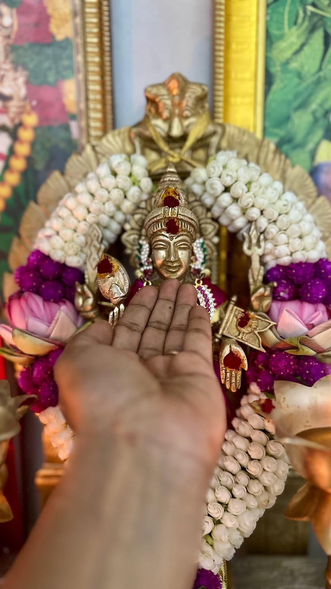 Post 5 by Lakshmi Velu on Instagram (video)
