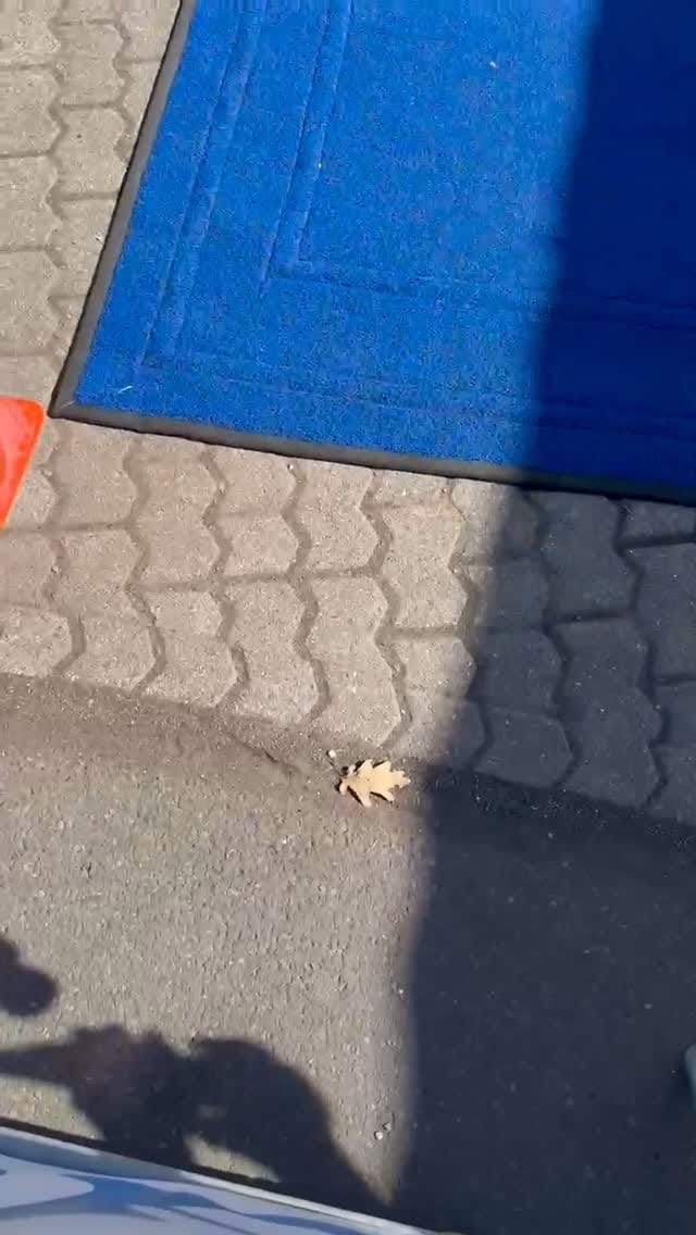 Post 8 by Jonie on Instagram (video)