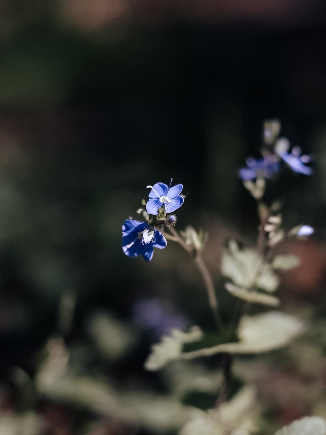 Post 9 by Photolab Milano on Instagram (image)