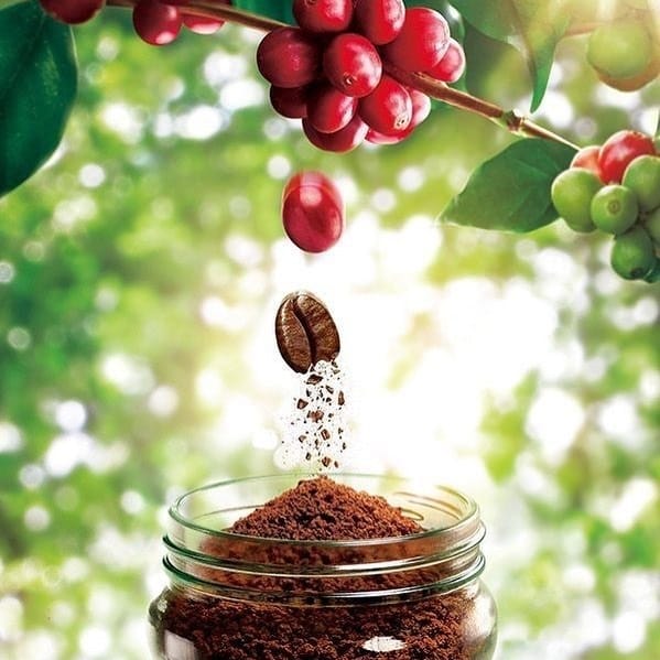Post 1 by the coffee wheels on Instagram (image)
