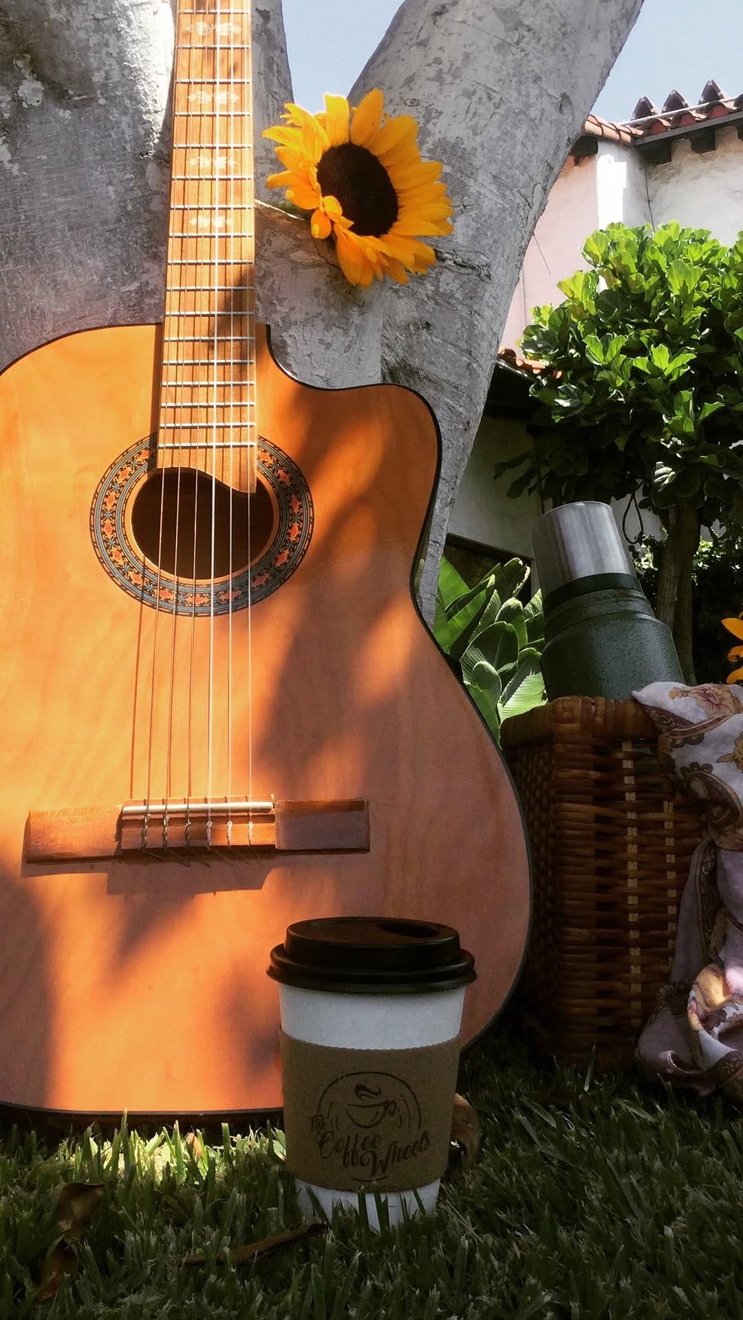 Post 9 by the coffee wheels on Instagram (video)