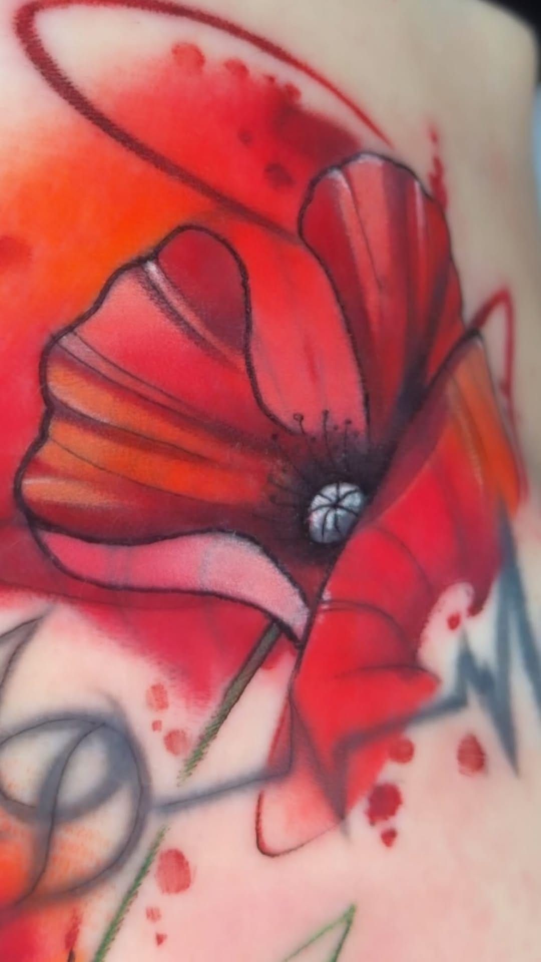 Post 3 by Lello Sannino on Instagram (video)