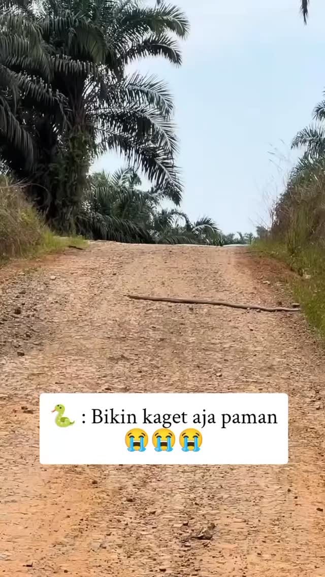 Post 6 by # KABEH SEDULUR ! on Instagram (video)