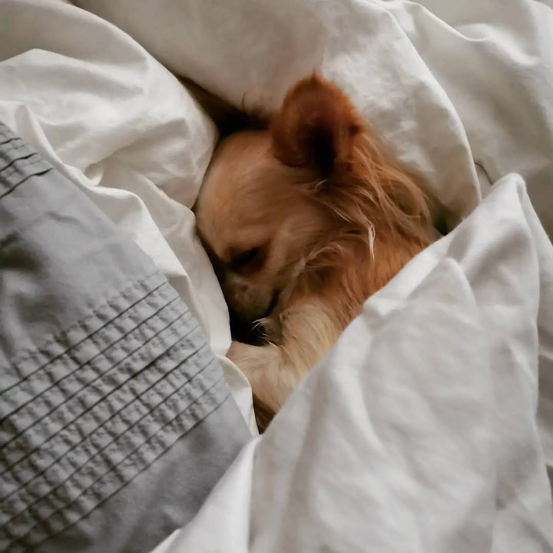 Post 9 by Eileen De Freest on Instagram (image)