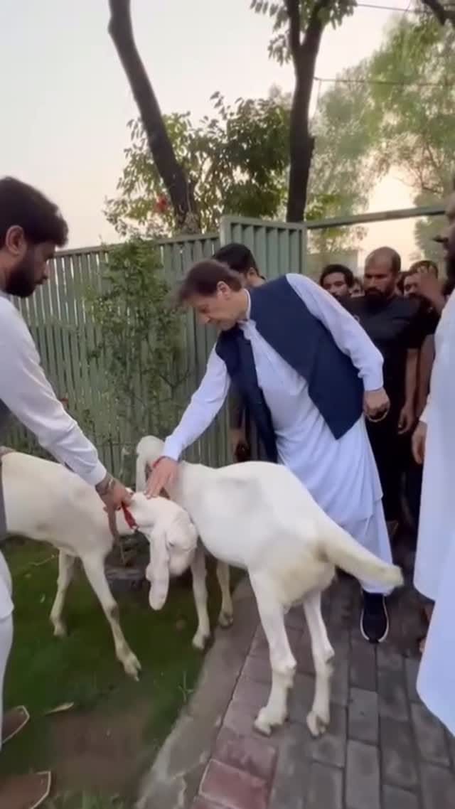 Post 7 by Mishi K on Instagram (video)