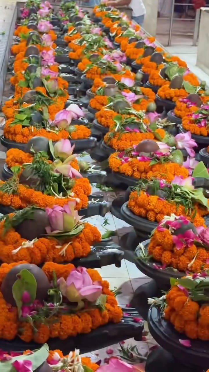 Post 8 by Mahant Gaurav Sharma on Instagram (video)