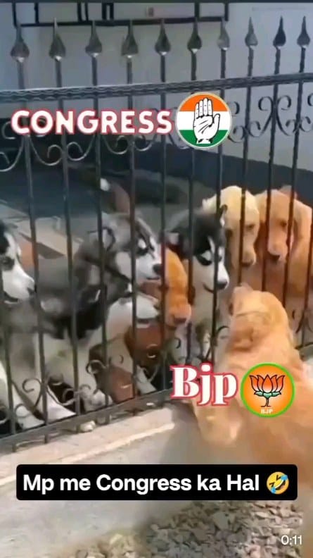 Post 9 by BJP FAN PAGE on Instagram (video)