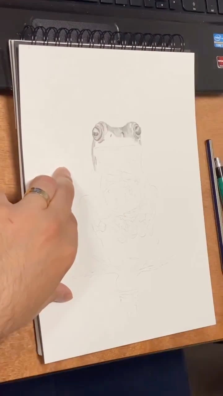 Post 5 by Ashraf koutish  أشرف قطيش on Instagram (video)