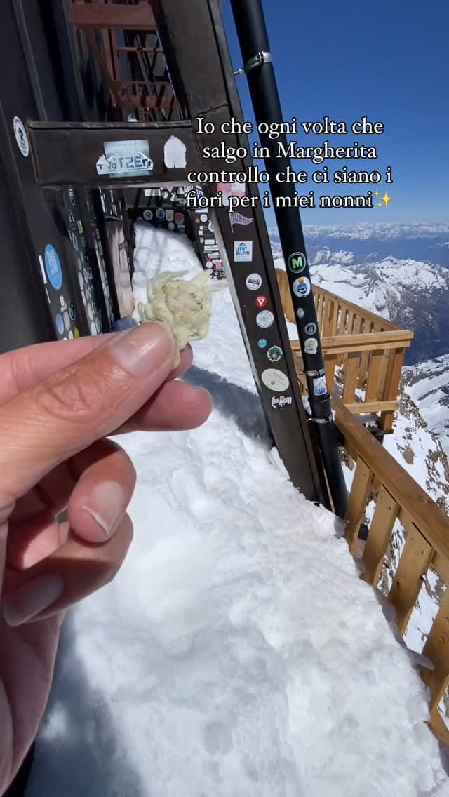 Post 9 by BARBARA GIROD 🌼 on Instagram (video)