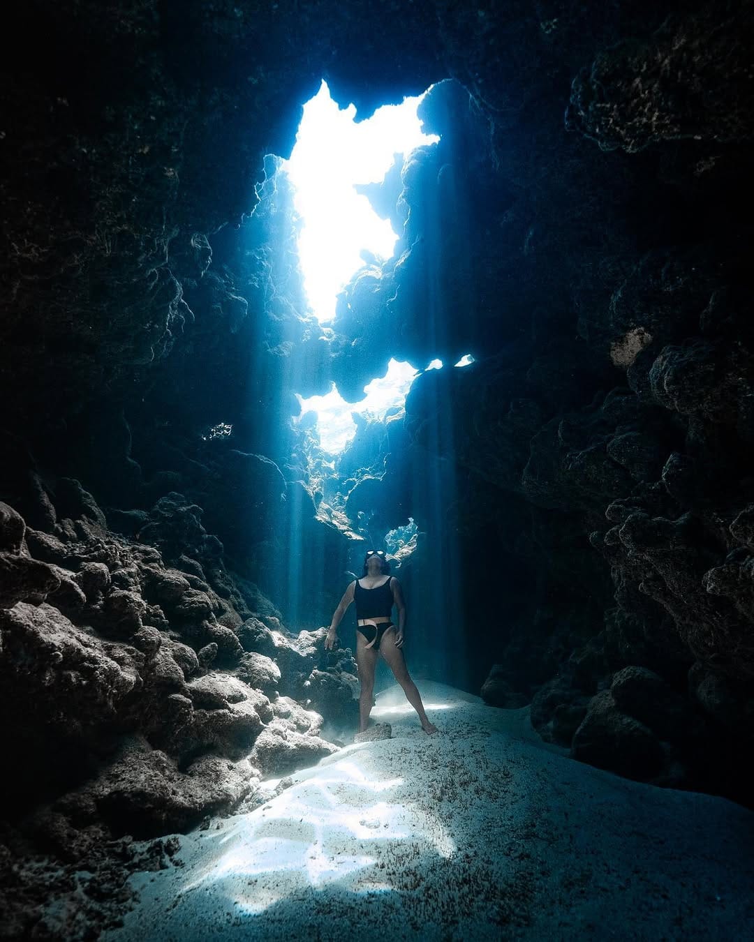 Post 10 by Brodie Whalan | Underwater Photographer on Instagram (image)
