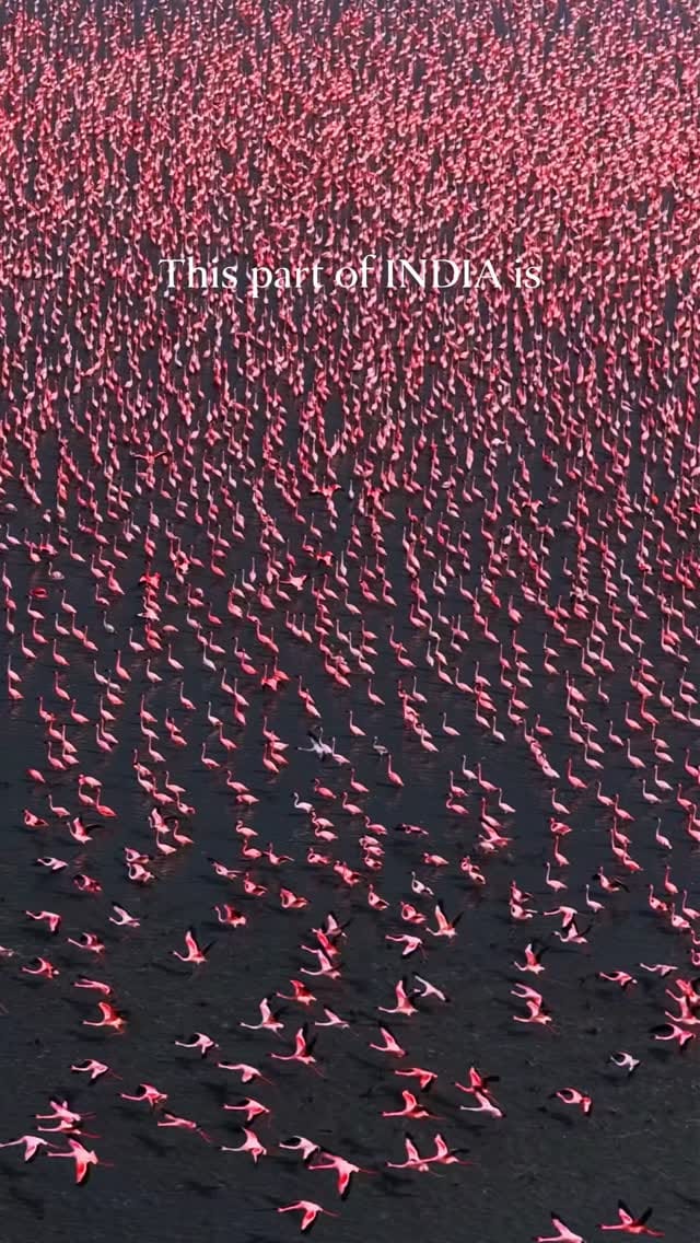 Post 8 by MANISH DEO on Instagram (video)