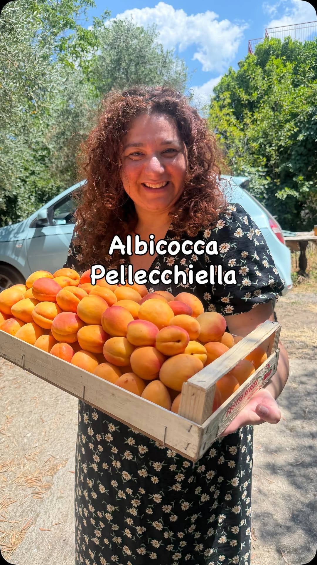 Post 7 by Pasticcia Cupcakeria on Instagram (video)
